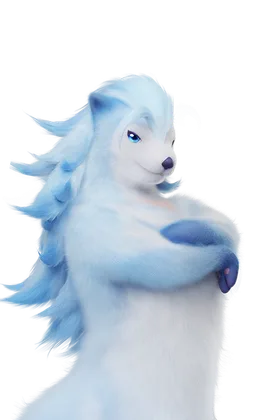 Piopiota